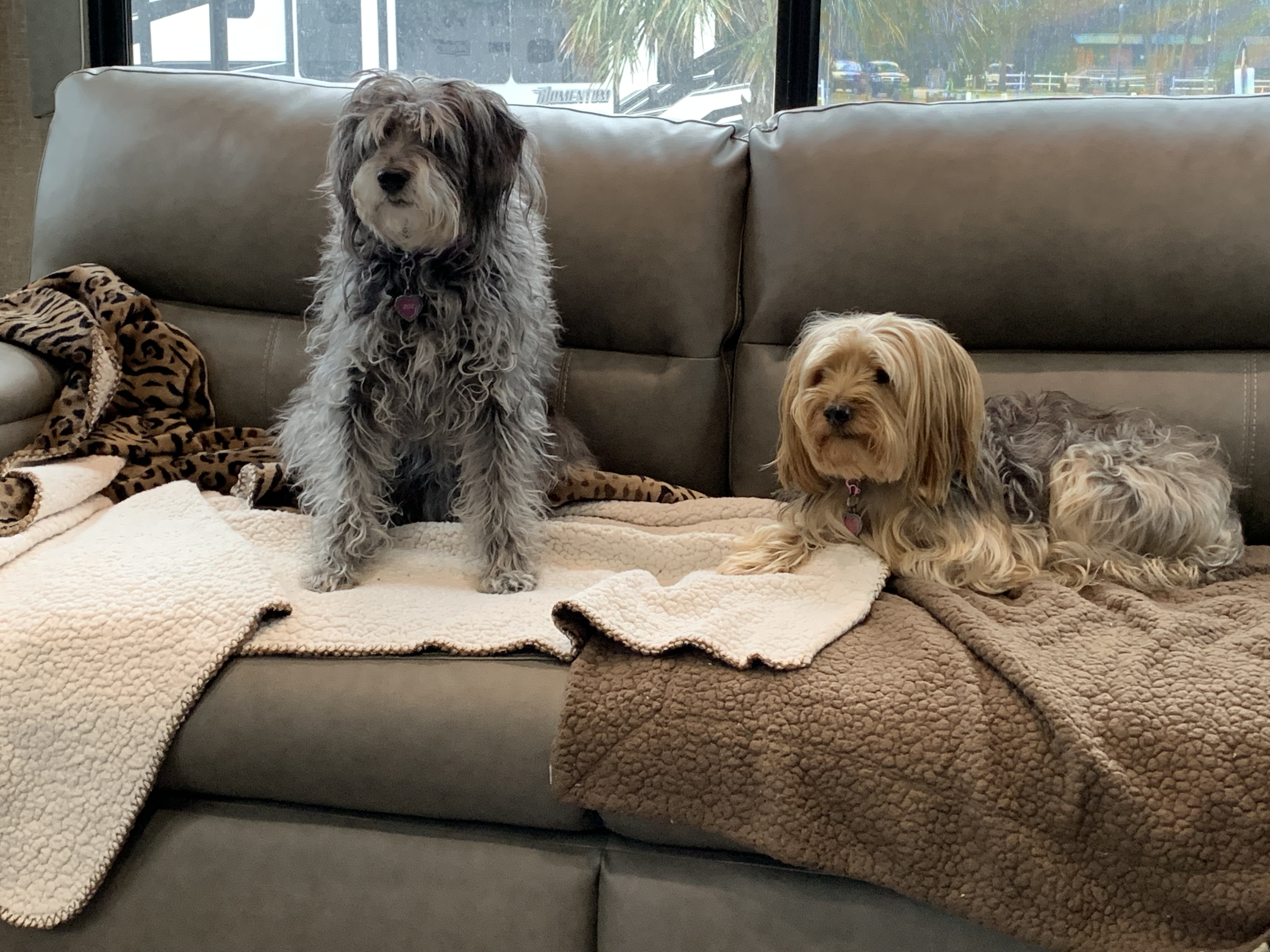 ./2022/01 - Wilmington/IMG_8605.JPG